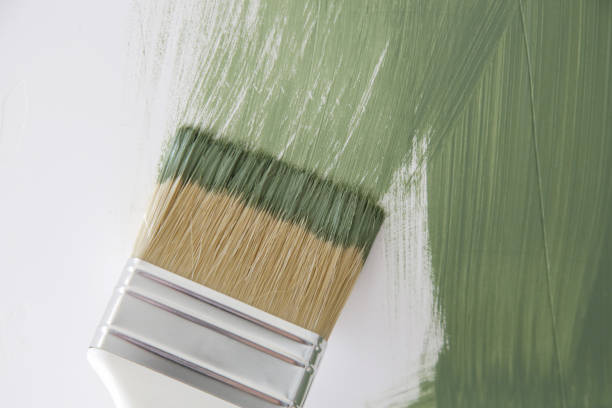Best Mold Remediation for Vacation Homes  in Northbrook, OH