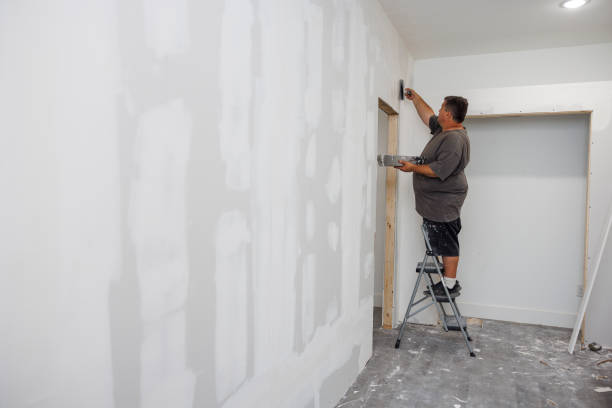 Best Dehumidification Services  in Northbrook, OH