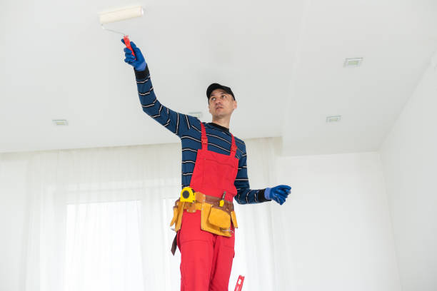 Mold Odor Removal Services in Northbrook, OH