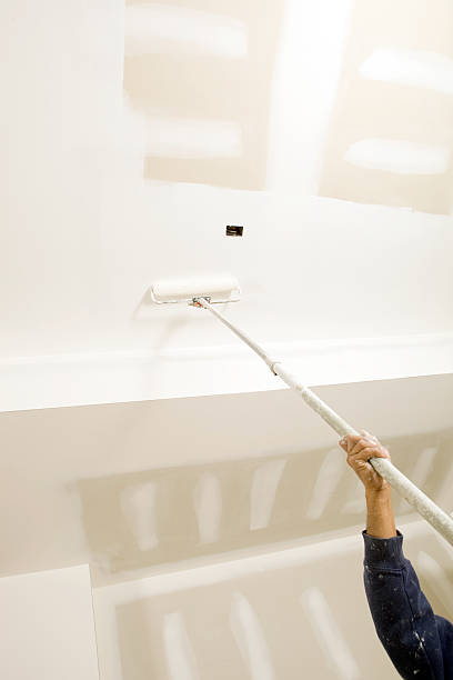 Best Water Damage & Mold Remediation  in Northbrook, OH